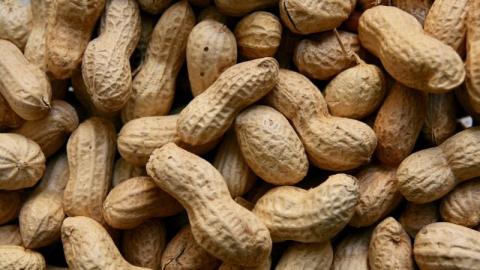 В Україні набирає популярності вирощування арахісу Рис.1