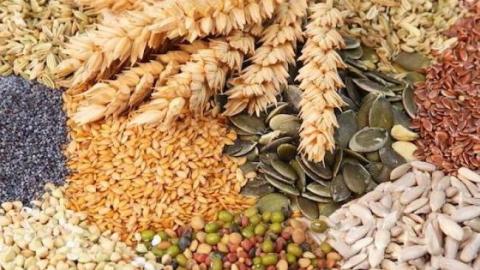 Виробників насіння просять допомогти одеським фермерам Рис.1