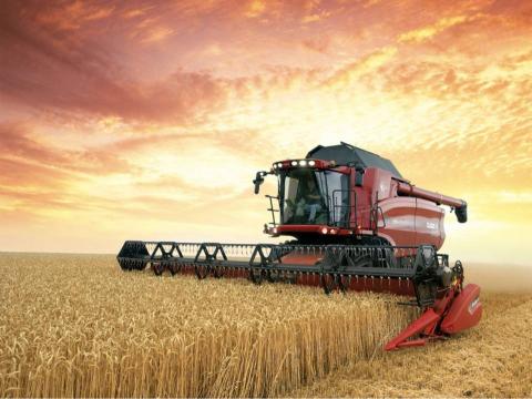 Жнива-2020: В Україні вже зібрано 80% зерна Рис.1