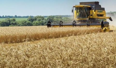 Жнива-2020: В Україні вже зібрано майже 49 млн тонн зерна Рис.1