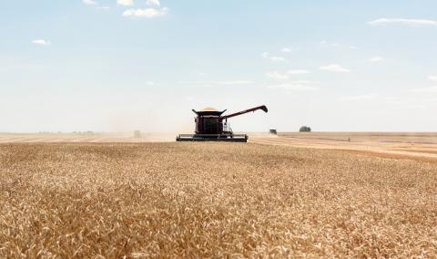 Луганщина зібрала рекордний за 30 років урожай Рис.1