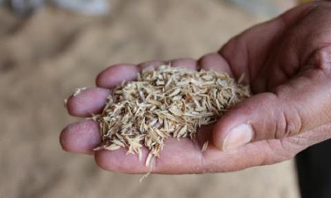 На Херсонщині фермер заснував виробництво паливних брикетів з лушпиння рису Рис.1