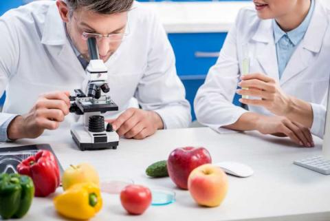 В UKRAVIT розповіли про особливості лабораторного дослідження плодоовочевої продукції Рис.1