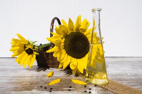 В Україні скорочуються запаси соняшникової олії Рис.1