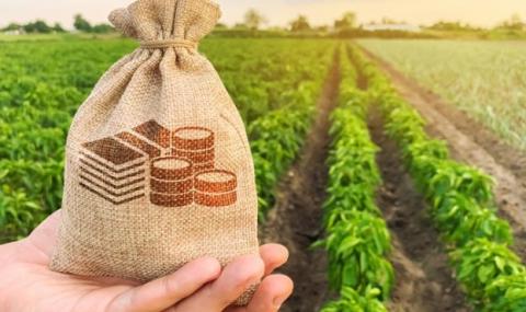 В Уряді оприлюднили суму держкомпенсації фермерам на покупку землі у 2021 році Рис.1