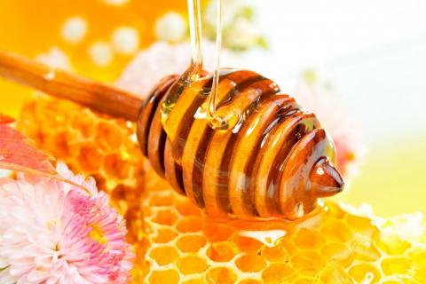 В Європі майже відвічі скоротилося виробництво меду Рис.1