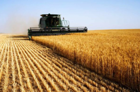 Жнива-2020: В Україні вже зібрано 90% площ зернових Рис.1