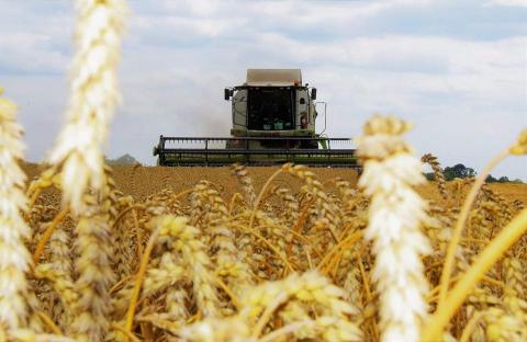Жнива-2020: В Україні вже зібрано майже 54,4 млн тонн зерна Рис.1