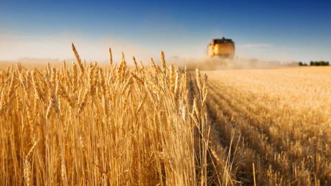 2020 рік став «урожайним» для аграрної галузі на важливі законодавчі рішення Рис.1