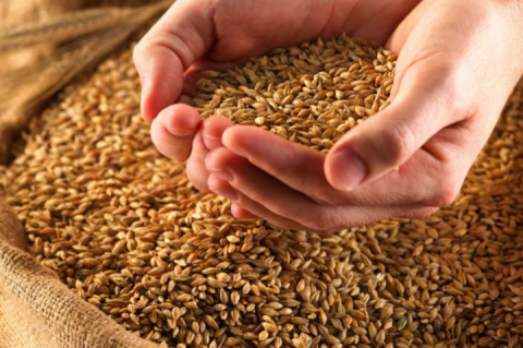  Ціна на українську пшеницю продовжує зростати Рис.1