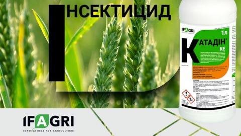 На українському ринку ЗЗР з’явиться інноваційний інсектицид Катадін Рис.1