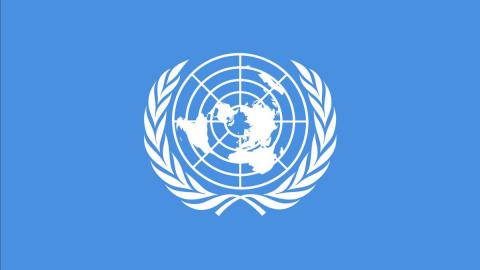 ООН проголосила 2021-й Міжнародним роком овочів та фруктів Рис.1