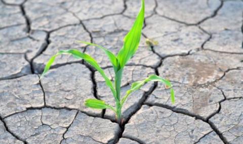 Постраждалим від посухи аграріям можуть відмінити сплату ПДВ Рис.1