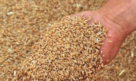 Україна не вводитиме жодних обмежень на експорт зерна,- УЗА Рис.1