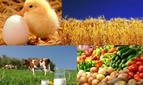 Україна скорочує сільгоспвиробництво Рис.1
