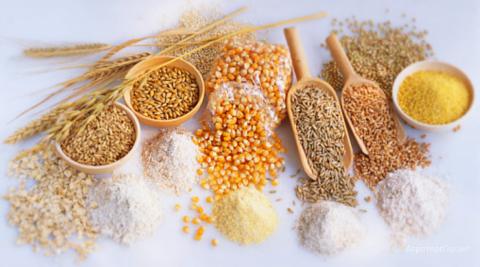 Уряд спростив процедуру сертифікації насіння для сільгоспвиробників Рис.1