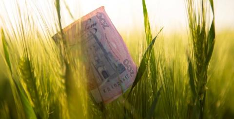 Верховна Рада знизила ставку ПДВ для аграріїв Рис.1