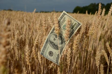 Ціни на пшеницю 2 класу у регіонах підвищилися Рис.1