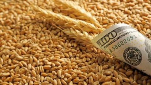 Ціни на пшеницю старого та нового врожаю на тендерах поступово зростають Рис.1