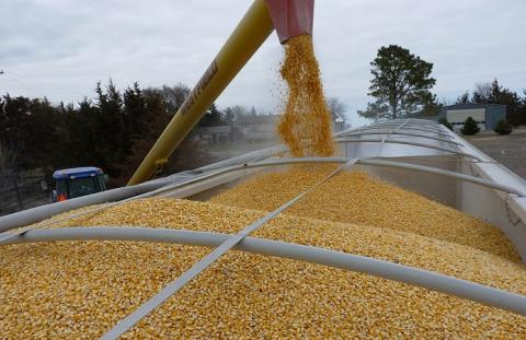 Наміри обмежити експорт кукурудзи з України стануть новим чинником впливу на ціни Рис.1
