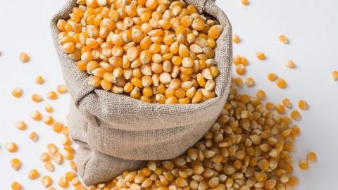 В Україні зросла ціна на кукурудзу Рис.1