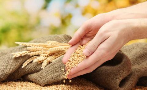 Черкащина зменшила валове виробництво зернових на 2,5 млн т Рис.1