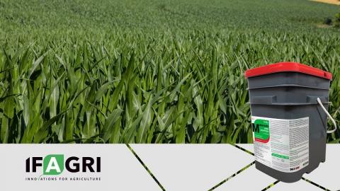 На українському ринку біопрепаратів з’явився інноваційний інокулянт для кукурудзи Рис.1