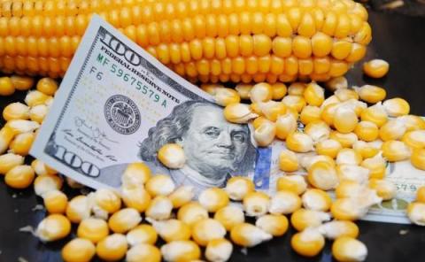 Новий баланс USDA прискорив падіння цін на кукурудзу Рис.1