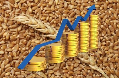 Потепління в США поступово знижує ціни на пшеницю Рис.1
