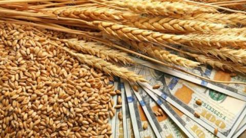Спекулятивне зростання цін на пшеницю в Європі підтримало американські біржі Рис.1