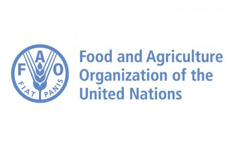 Україна приєдналася до комітету із продовольчої безпеки ФАО Рис.1