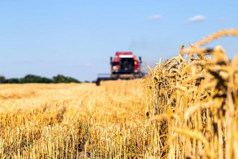 На Комітетах ВР підтримано чотири важливих для фермерів законопроекта Рис.1