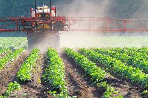 В Держпродспоживслужбі нагадали про вимоги до застосування пестицидів та агрохімікатів Рис.1