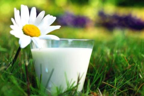 В Україні зафіксували найнижчий рівень прибутковості молока за останні 4,5 роки Рис.1
