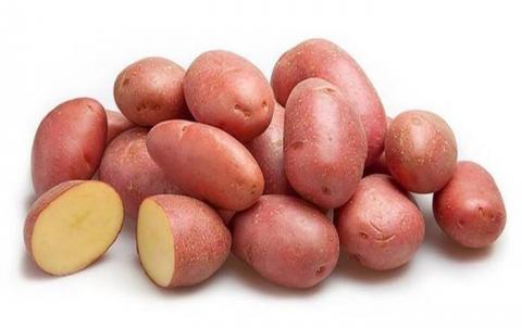 В Україні зареєстрували 4 нових сорти картоплі нідерландської селекції Рис.1