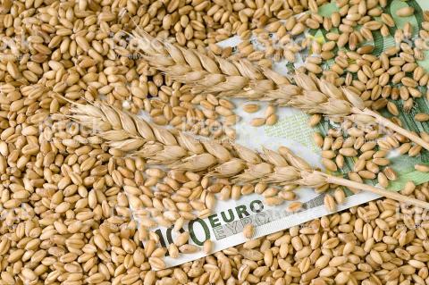 Активний експорт підтримав ціни на пшеницю в США Рис.1