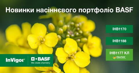 BASF виводить на ринок нові гібриди озимого ріпаку Рис.1