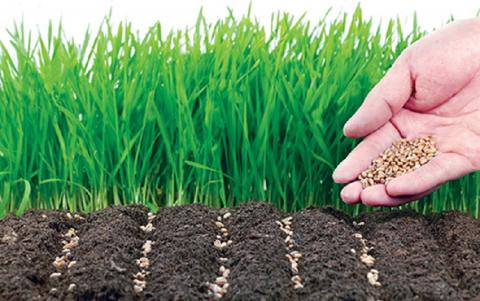 Хмельницькі аграрії витратять 7,5 млрд гривень на цьогорічну посівну Рис.1