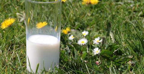 Прибутковість молока пішла рости, але все ще найнижча за 10 років Рис.1