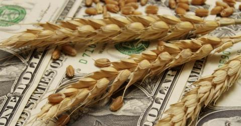 Пшеничні котирування за день виросли на 5,5% Рис.1