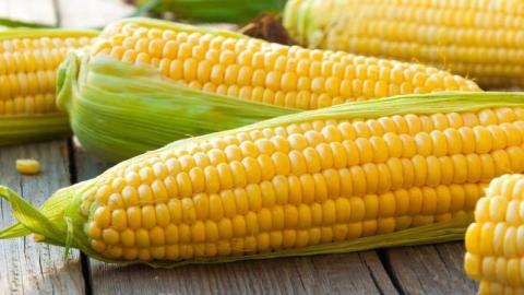 Україна посідає 4 місце в рейтингу світових експортерів кукурудзи Рис.1