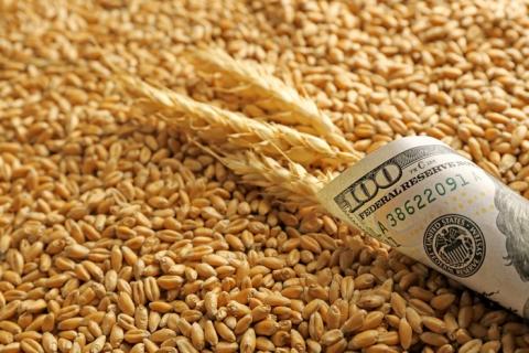 В Україні виросли закупівельні ціни на пшеницю Рис.1