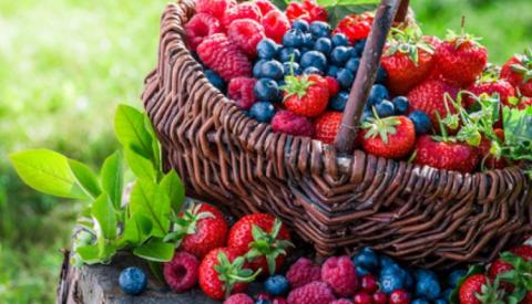 Експерти прогнозують збільшення врожаю української ягоди в 2021 році Рис.1