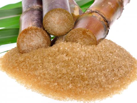 Гнідавський завод почне випускати тростинний цукор Рис.1