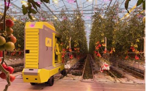 Ізраїльська компанія представила роботизованого комбайна для збирання помідорів Рис.1