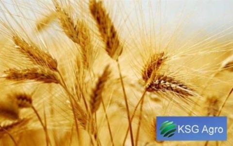 KSG Agro в першому кварталі збільшив дохід від реалізації на 9% Рис.1