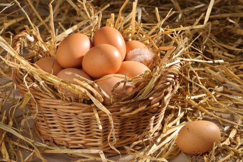Середня ціна яєць знизилася до 22,84 грн Рис.1