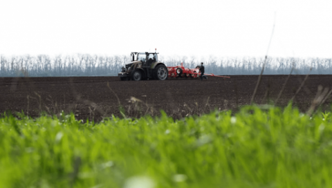 В Україні посіяли майже 4,4 млн га ярих зернових культур Рис.1