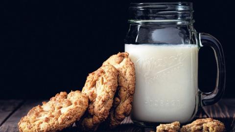 Вперше у світі створене «молоко» з мікроводоростей Рис.1
