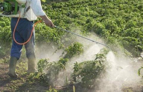 Аграрії зменшили застосування пестицидів на 3% Рис.1